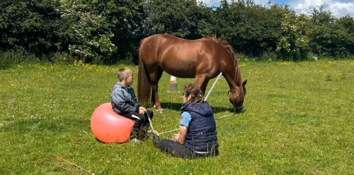 Horse-and-Student